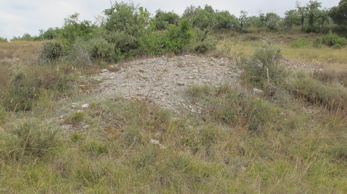 Larras II tumulua 9, Zigoitia