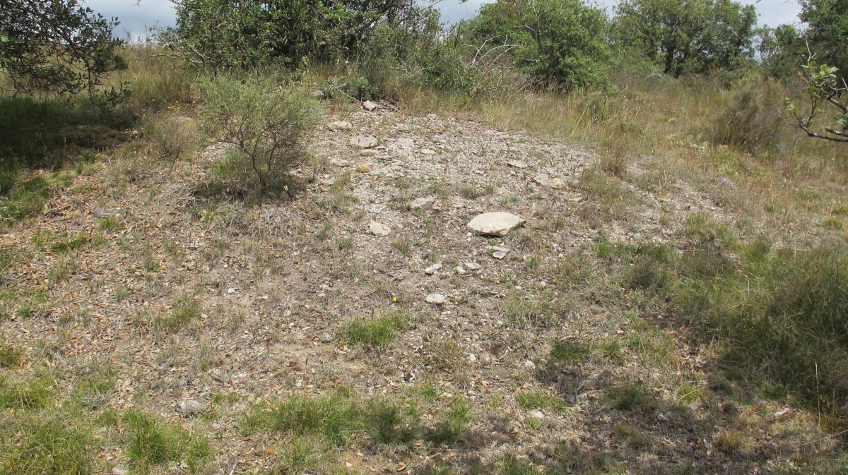 Larras I tumulua 9, Zigoitia