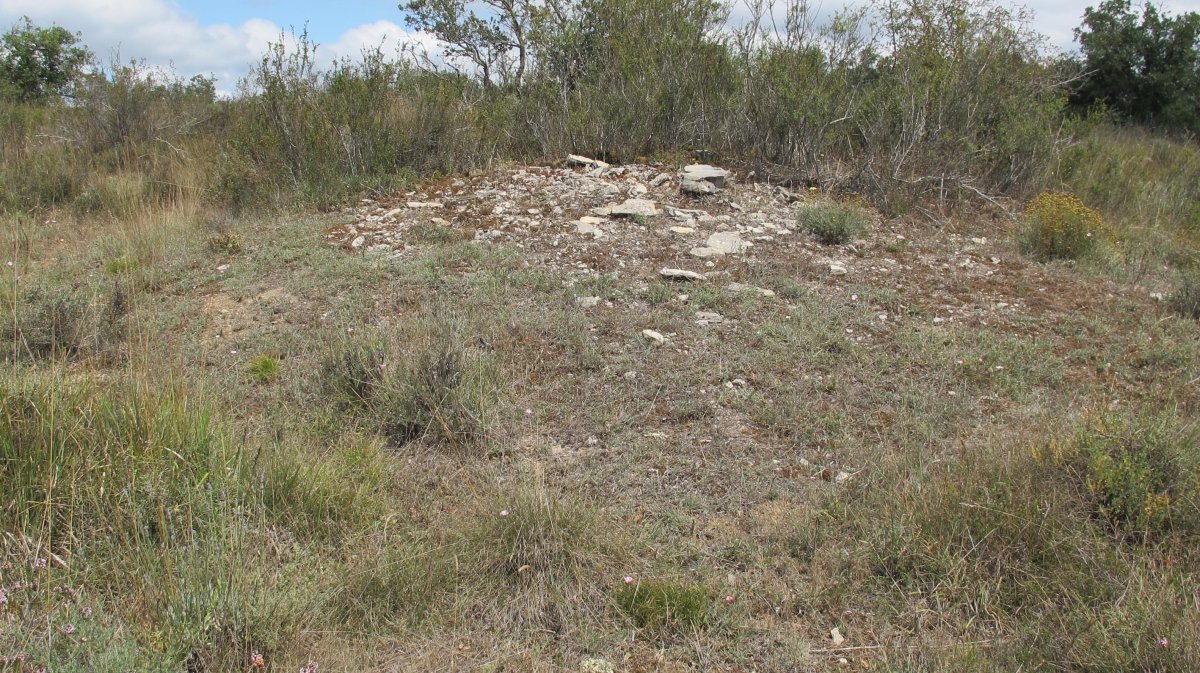 Larras I tumulua 8, Zigoitia