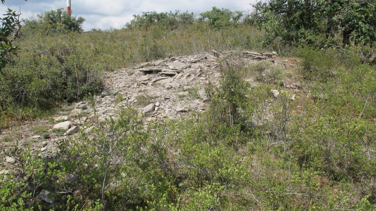 Larras I tumulua 7, Zigoitia