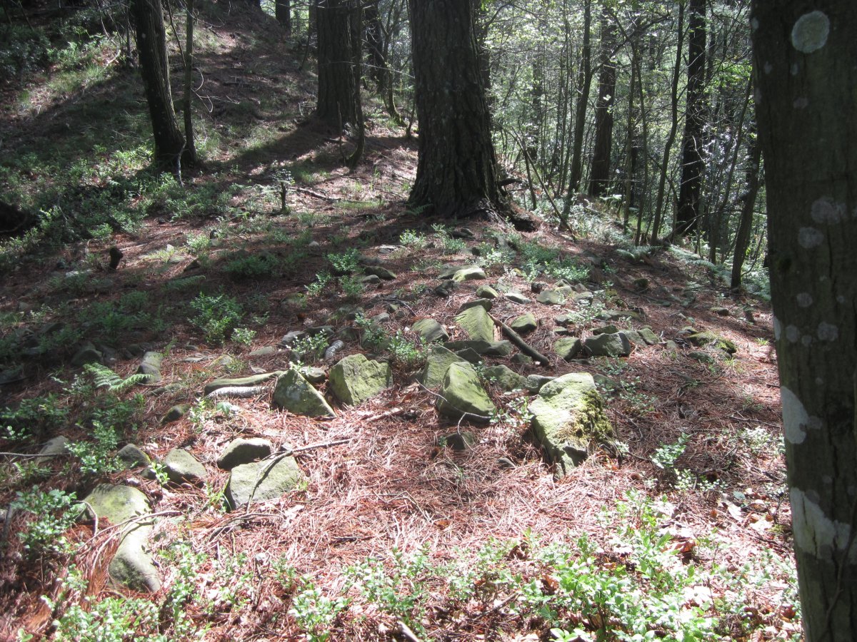 Túmulo Muñazorrotxiki (Mayo 2014)