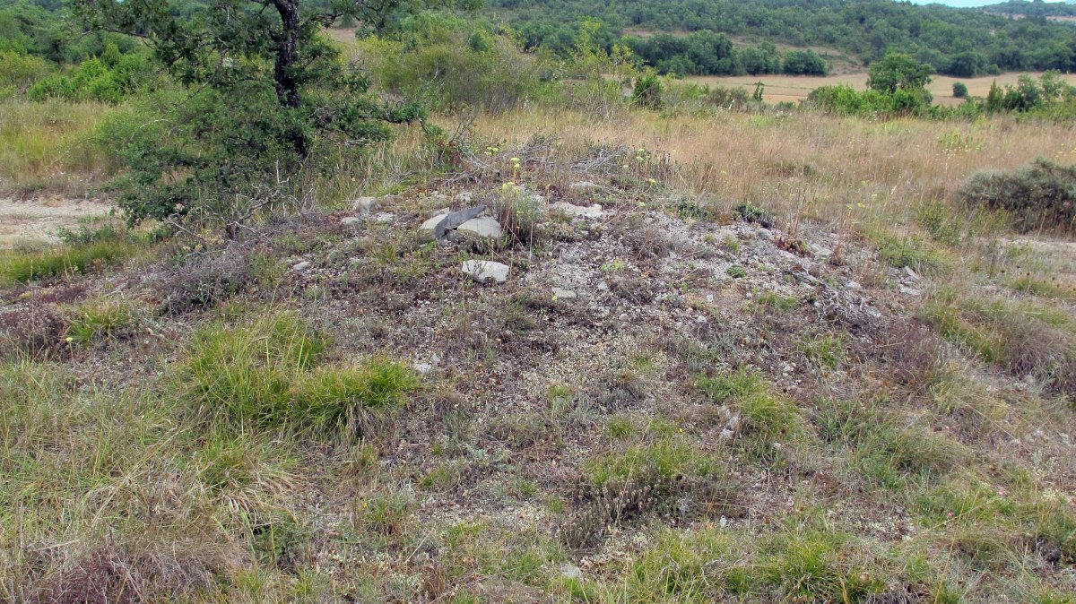 Güenda tumulua 26, Zigoitia