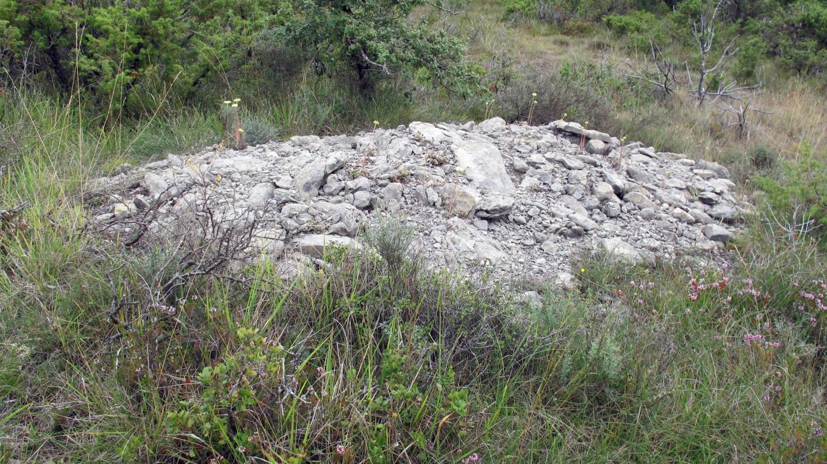 Güenda tumulua 18, Zigoitia