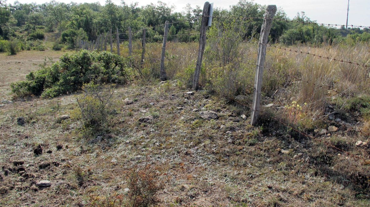 Larras II este tumulua 4, Zigoitia