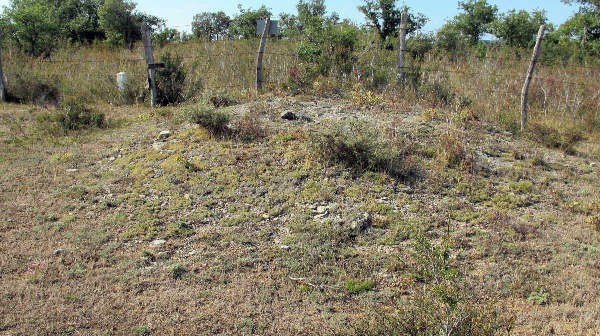 Larras II este tumulua 8, Zigoitia