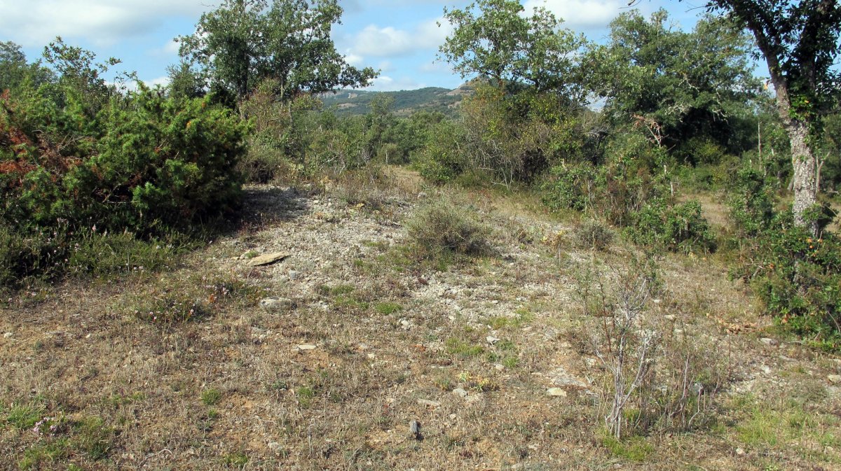 Larras II este tumulua 12, Zigoitia