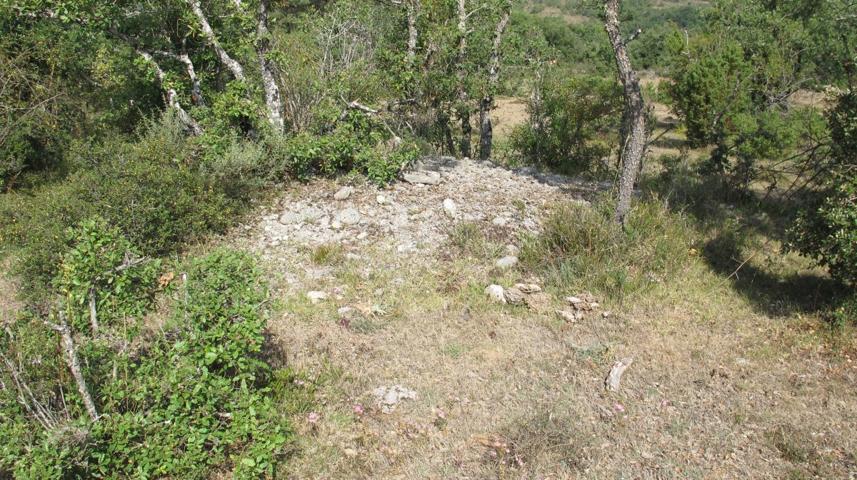 Larras II este tumulua 20, Zigoitia