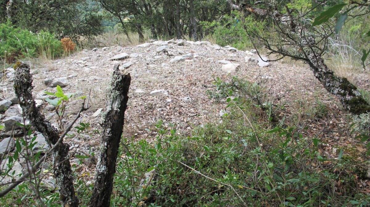 Larras II tumulua 15, Zigoitia