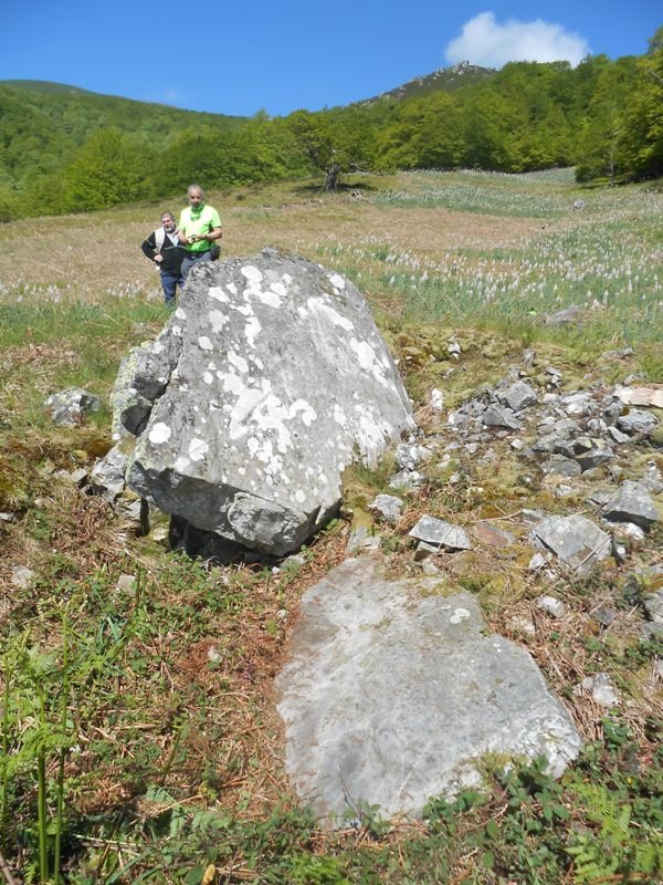 epersaro trikuharria