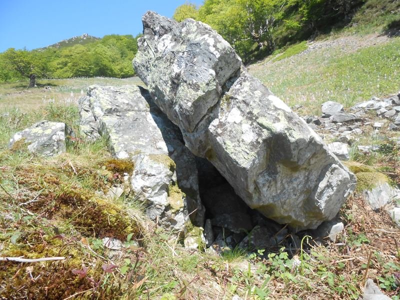 epersaro trikuharria