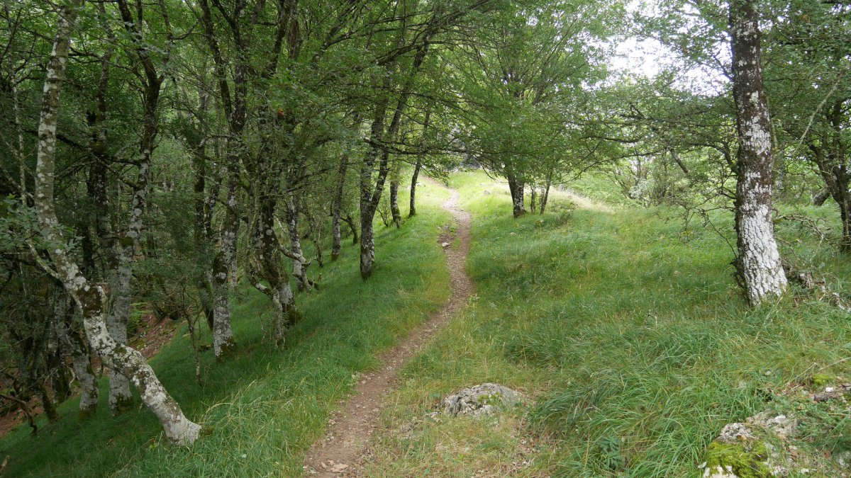 Ergako igoera Latasa aldetik