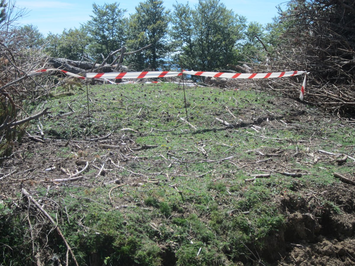 Estropicio  Dólmen Gaztanbidea    (Agosto 2014)