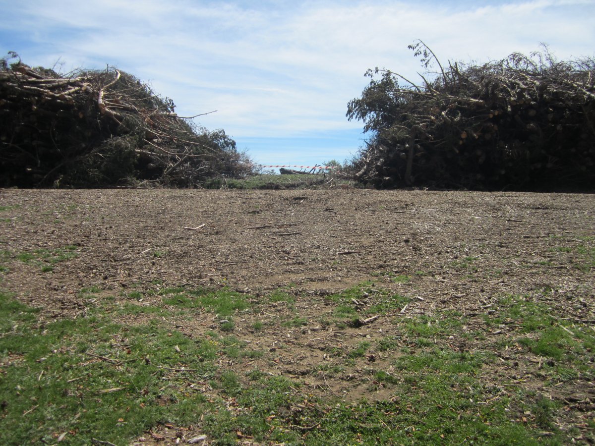 Estropicio Dólmen Gaztanbidea (Agosto 2014)