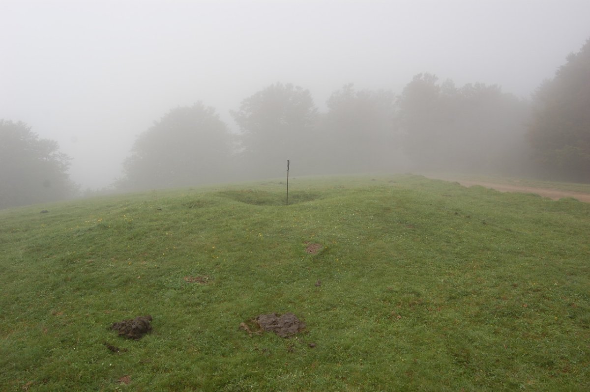 Dólmen Gaztanbidea (Junio 2009) Foto de J.M.Martínez Txoperena