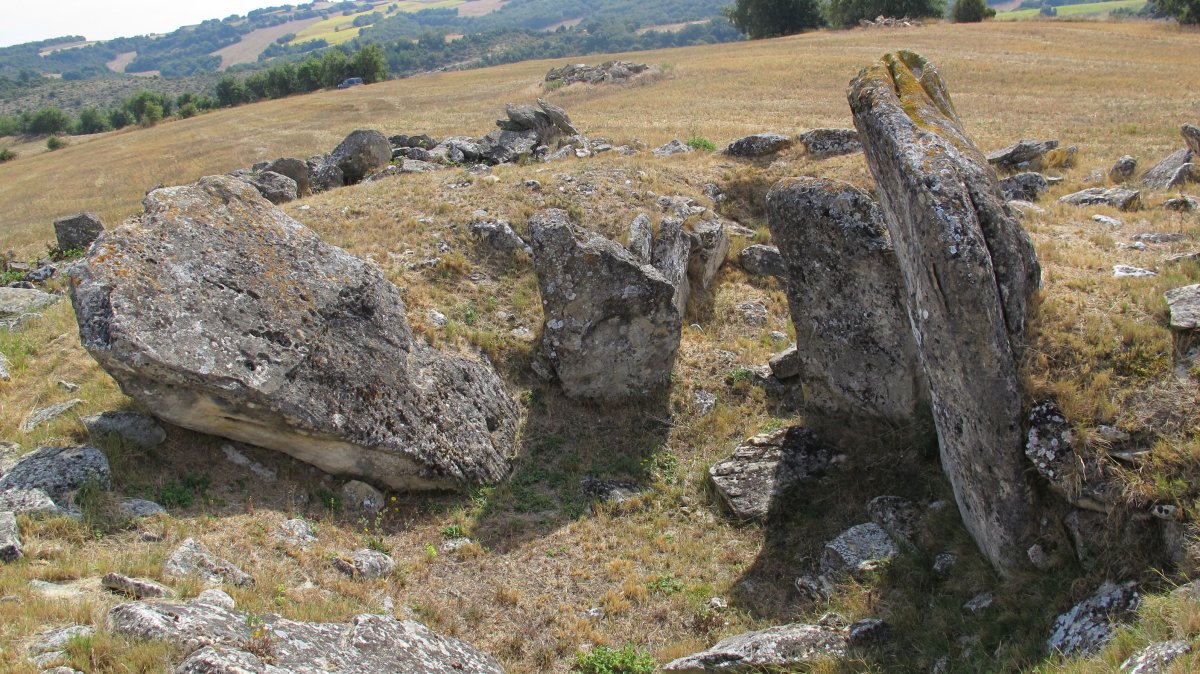 La Mina trikuharria, Lantaron