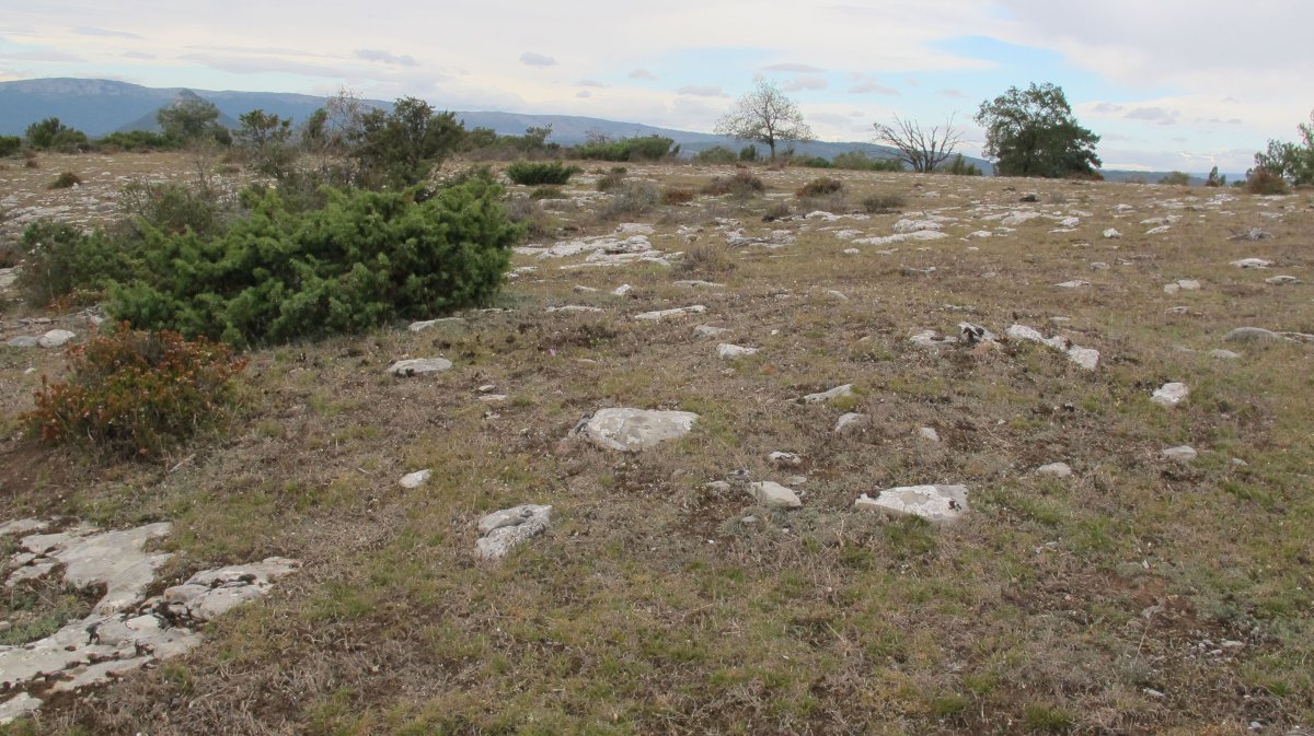 SB 12 tumulua, Badaia mendikatea 