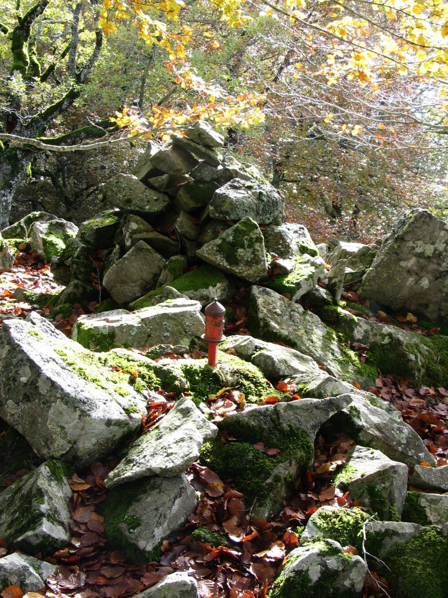 Txartelontzia Urdanatz tontorrean
