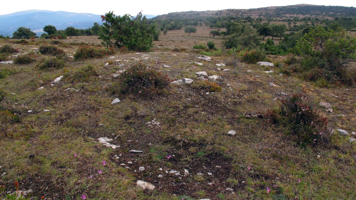 SB 33 tumulua, Badaia mendikatea