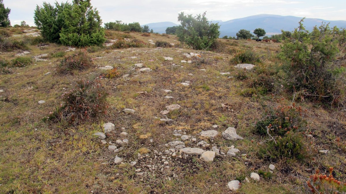 SB 33 tumulua, Badaia mendikatea