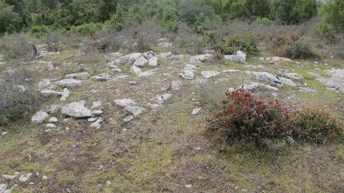 Torrogoitia este tumulua, Badaia mendikatea