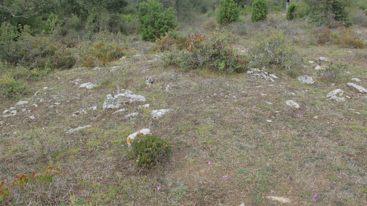 El Robledal trikuharria, Badaia mendikatea