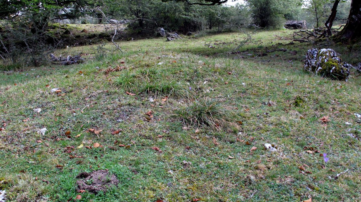 Tximista 1 ekialde tumulua, Urbasa