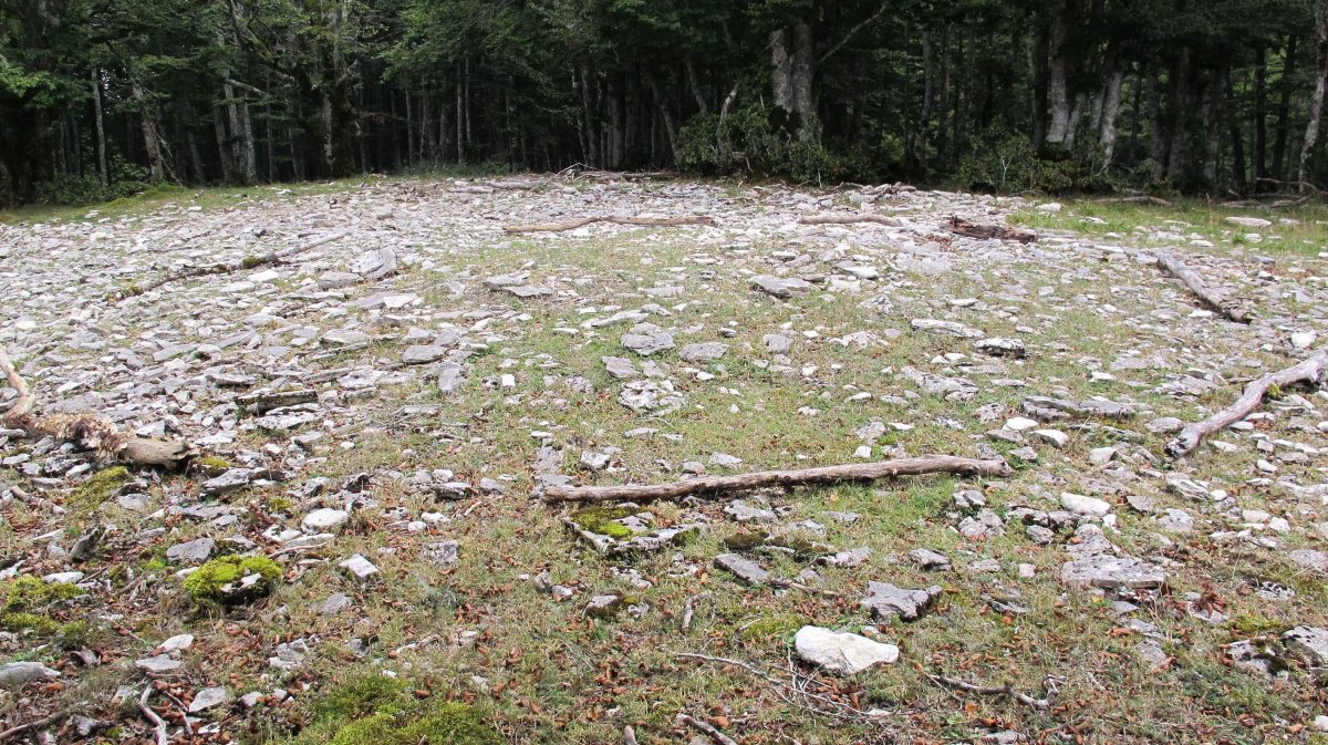 Ezkiaundi tumulua, Urbasa