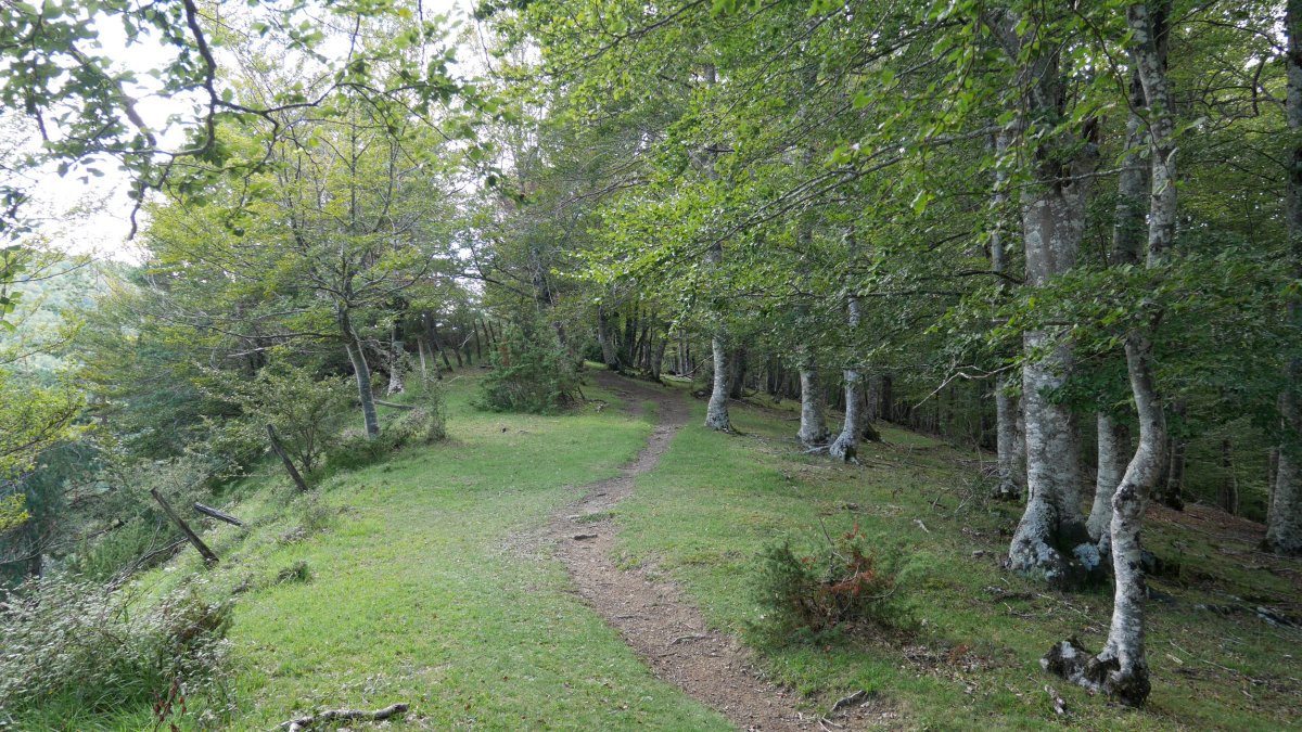 Azimendiko bizkarreko bidea