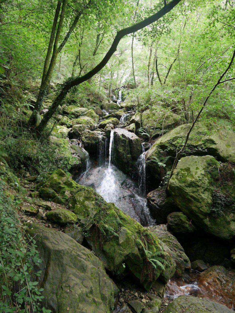 Ur-jauzitik behera datoren erreka