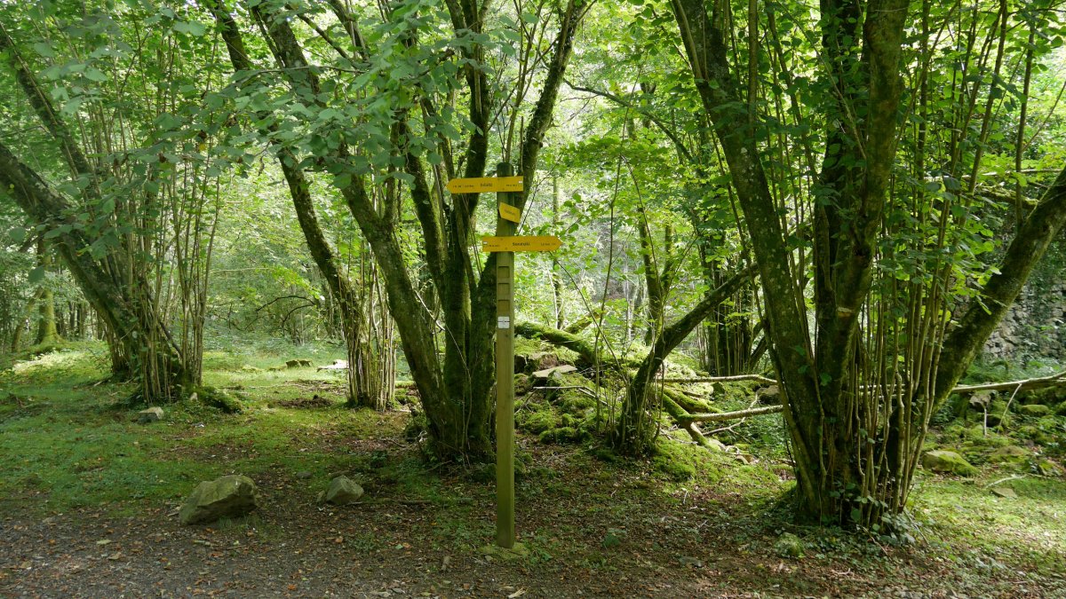 Bidegurutzea Meazuriko bidean