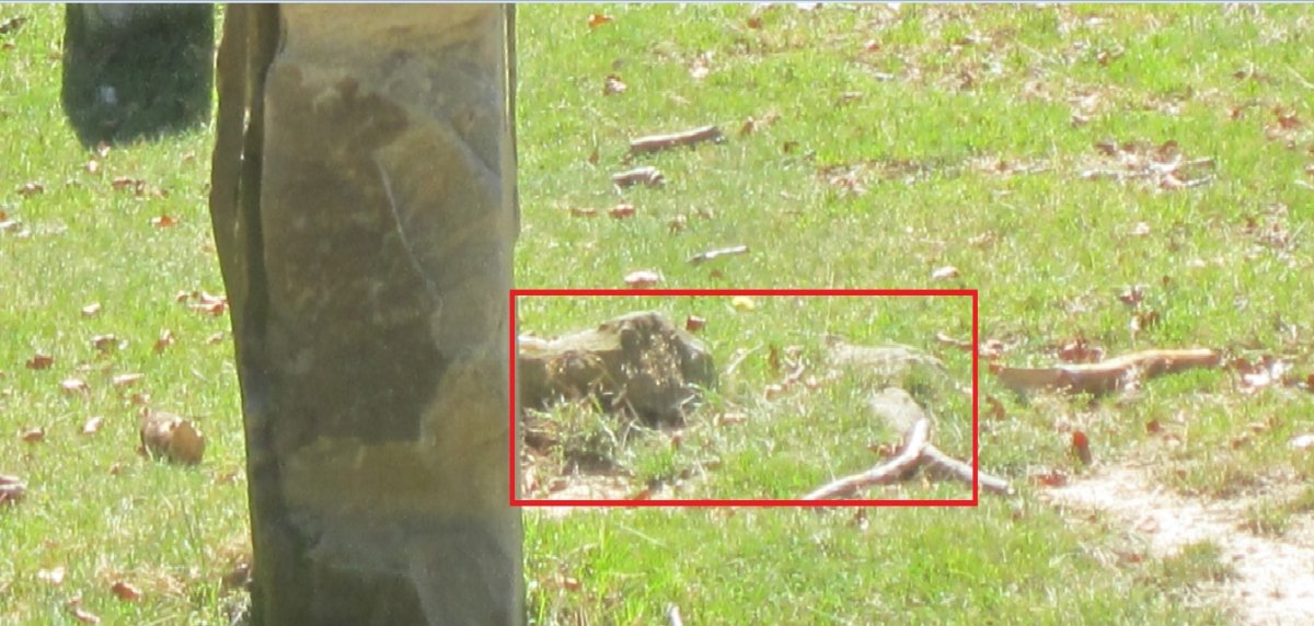 Monolito Pagarreta II  (Septiembre 2014)