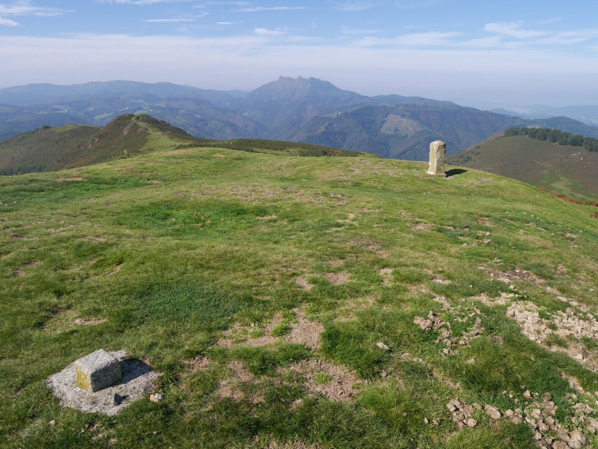 Manddale tontorra, bere mugarriarekin