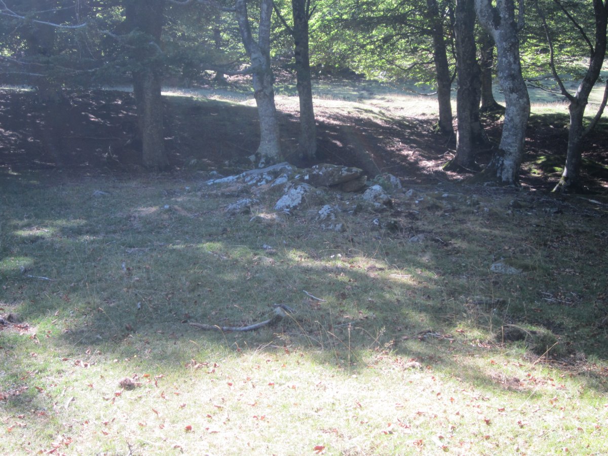 Dólmen Pagomakor   (Septiembre 2014)