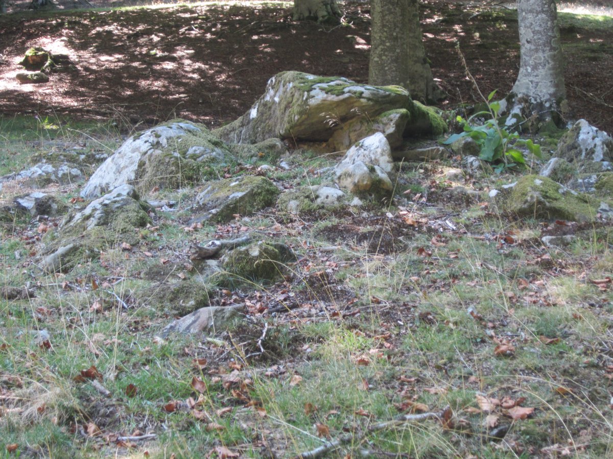 Dólmen Pagomakor   (Septiembre 2014)