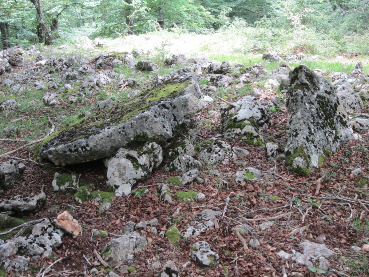 Menhir Baio Este   (Julio 2014)