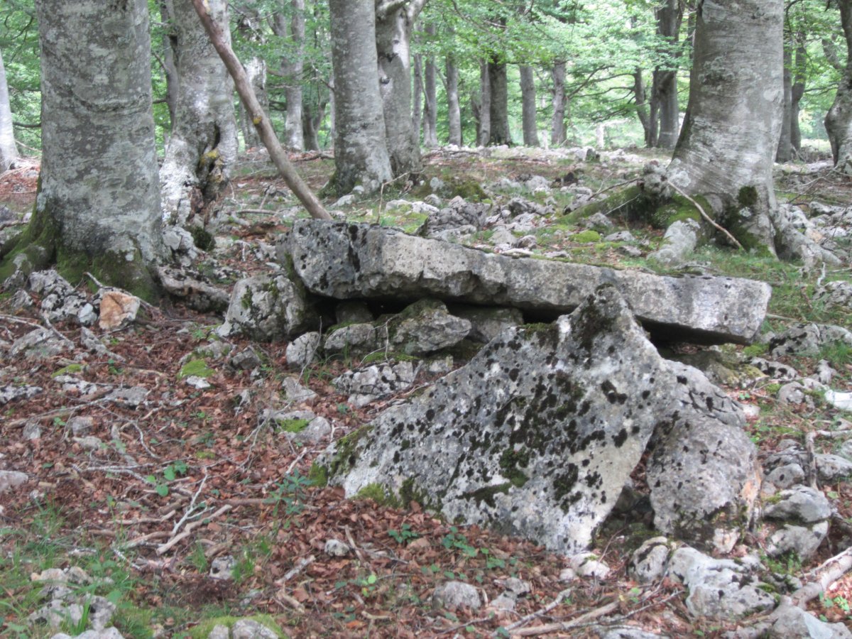 Menhir Baio Este   (Julio 2014)