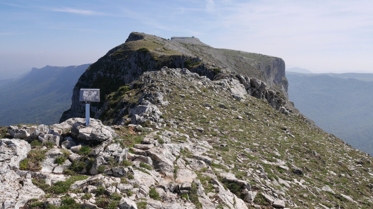 Tontorra eta Beriain