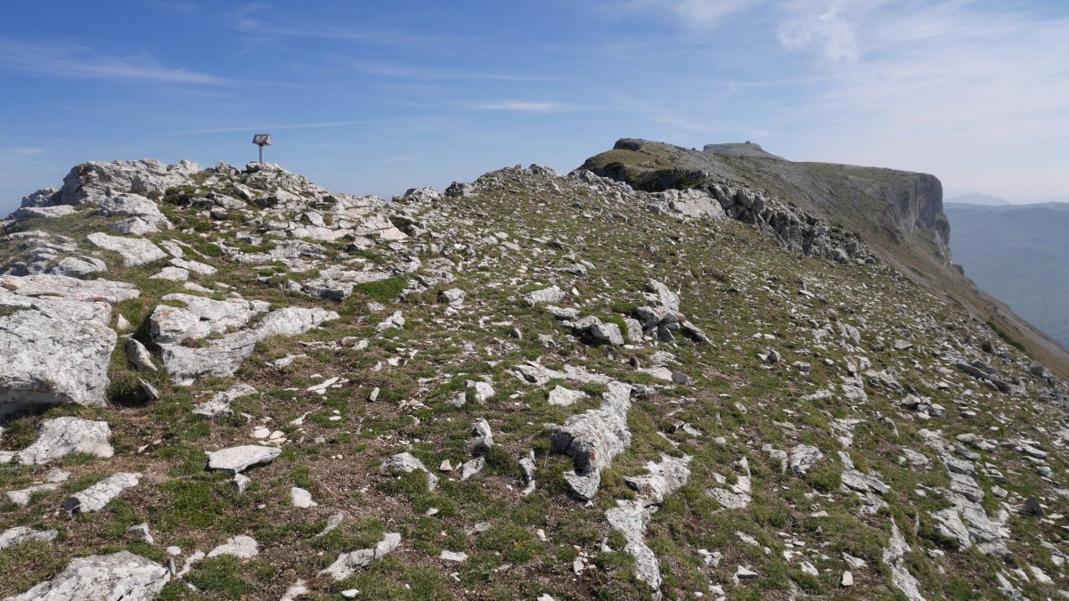 Tontorra eta Beriain