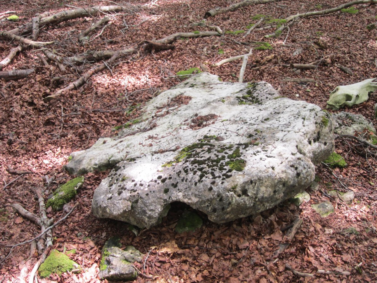 Menhir Baio II (Julio 2014)