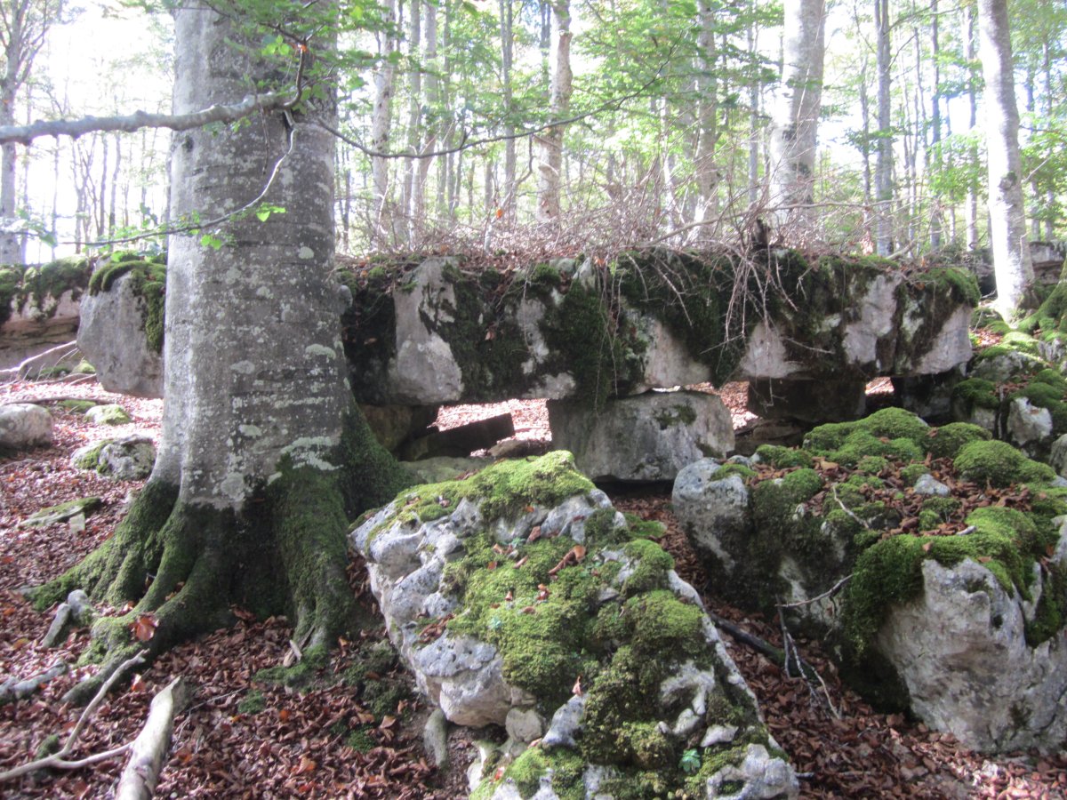 Losa Megalítica Los Pocicos (Octubre 2014)