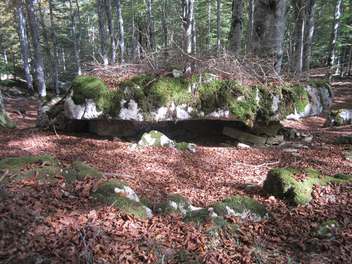 Losa Megalítica Los Pocicos  (Octubre 2014)