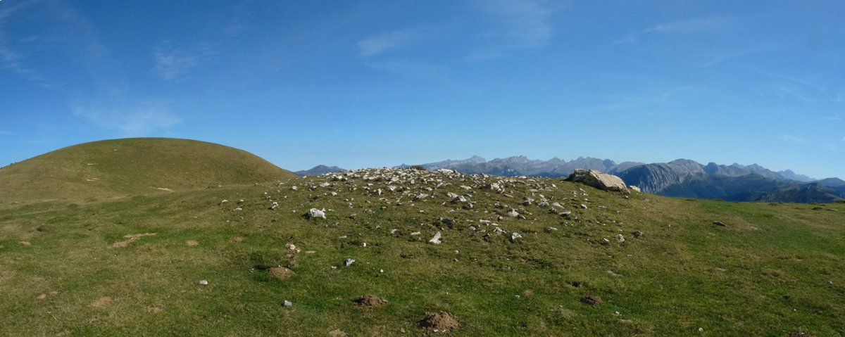 Largintia trikuharria