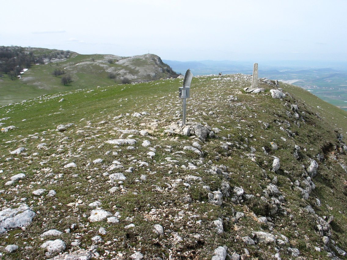Atauko gaina eta buzoia