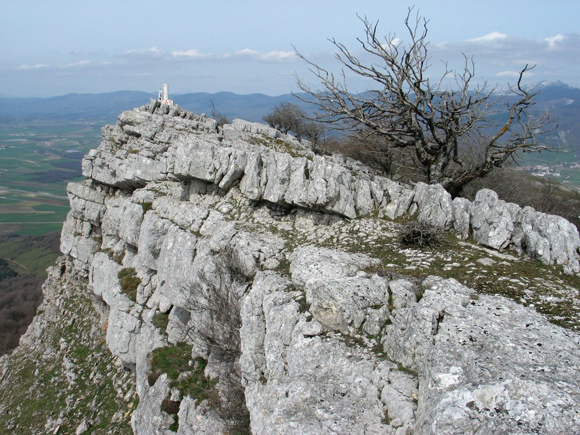 Tontorra hegoaldeko ertzetik
