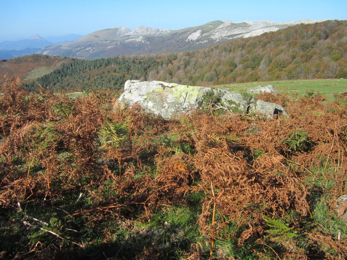 Menhir Malkorra  (Octubre  2014)