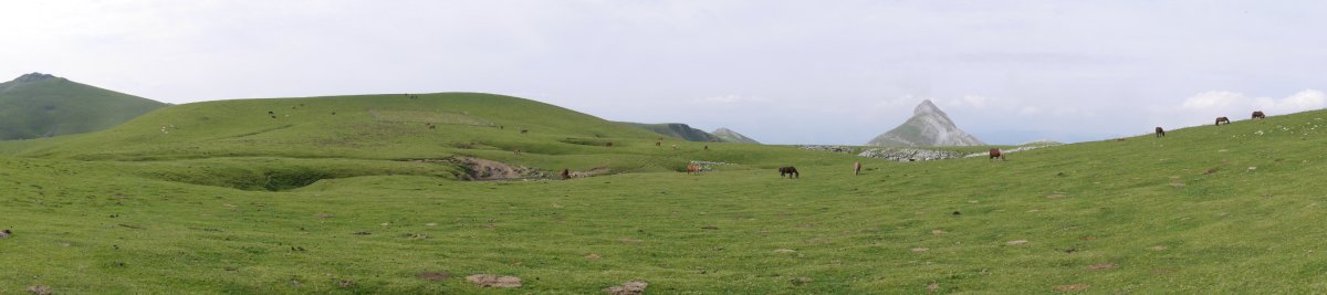 Aoki gaina Uzkuiti aldetik