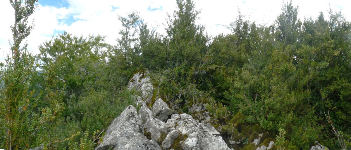 Gazteluzarreko gailurra