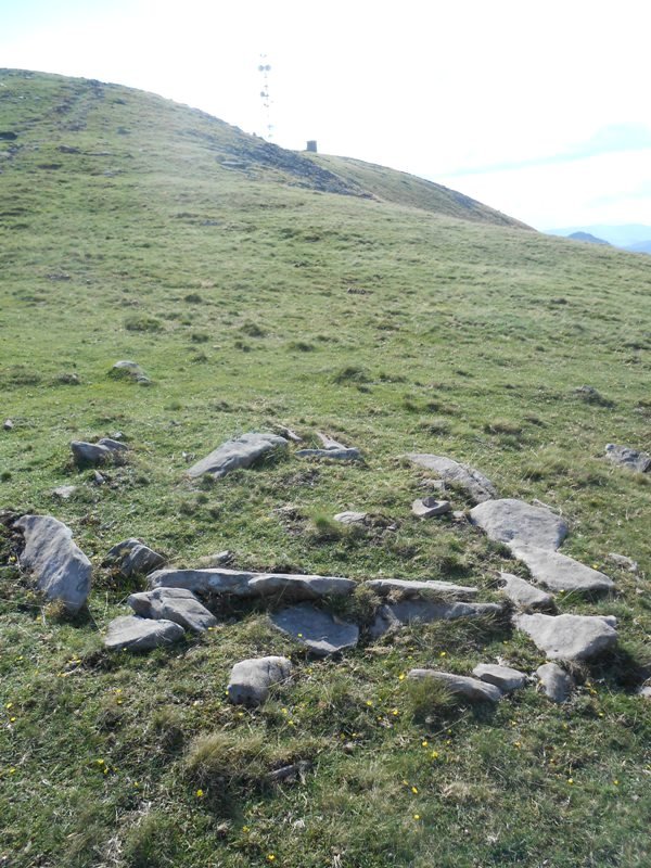 zista otanarteko lepoa