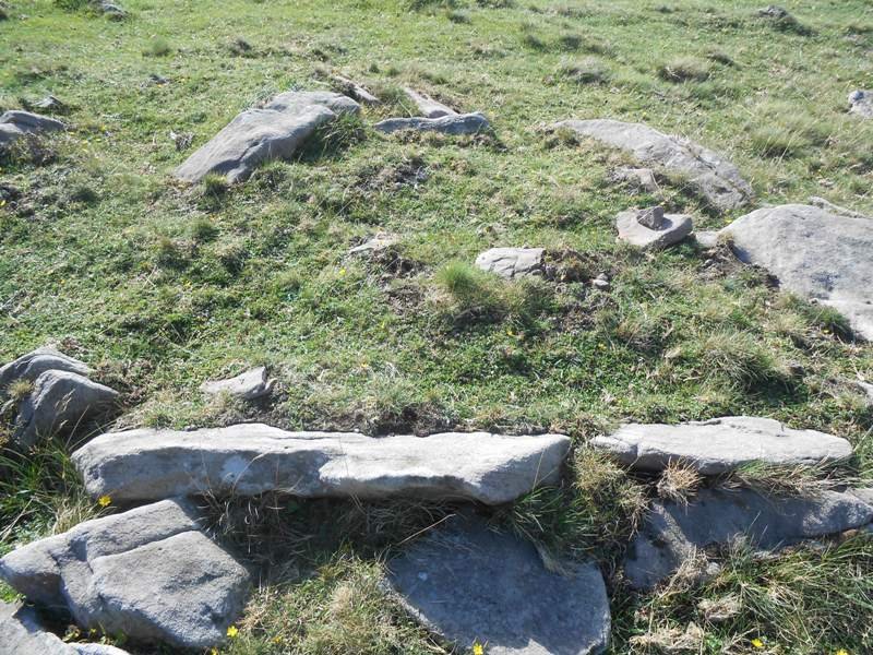 zista otanarteko lepoa