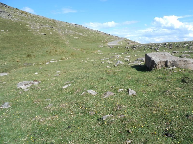 Otanarteko  lepoa harrespila